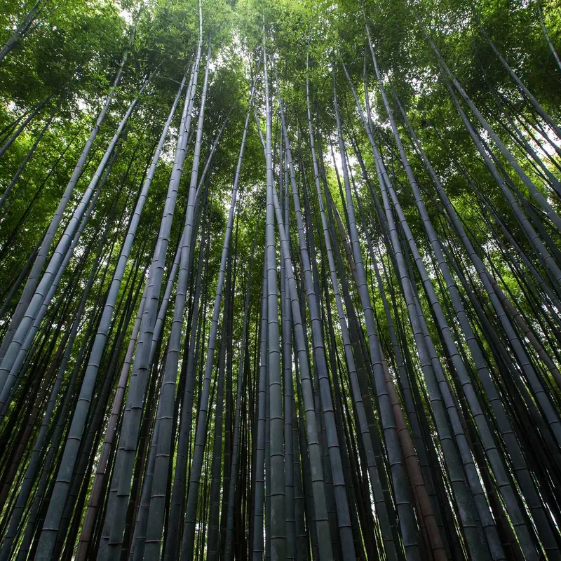 教育进步